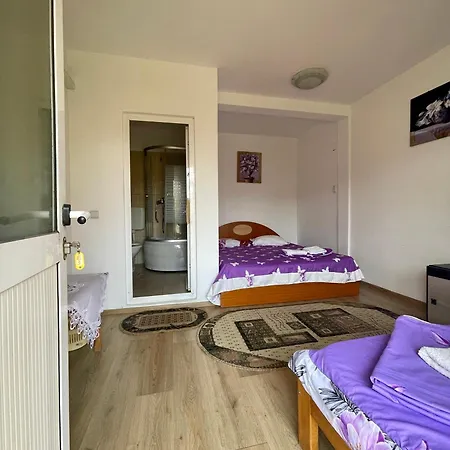 Гостевой дом Costel&mirela 3*